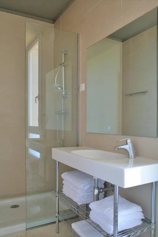 Une salle de bain moderne avec douche à l'italienne et vasque blanche.