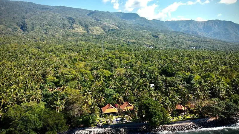 Vue aérienne sur une végétation luxuriante et des bâtiments côtiers.