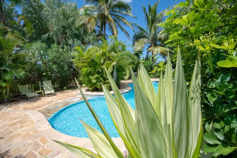 Une piscine bordée de végétation luxuriante et de chaises longues.