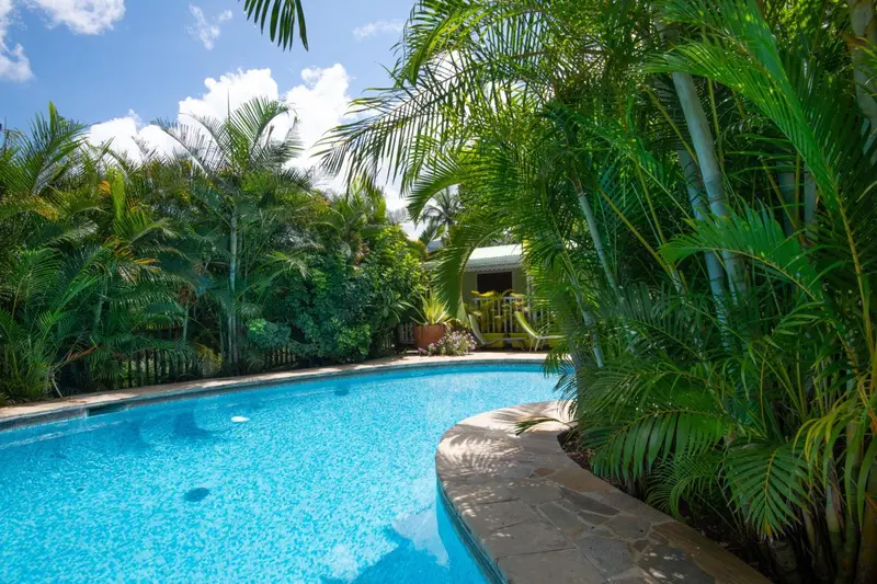 Piscine turquoise bordée de végétation luxuriante sous un ciel bleu.