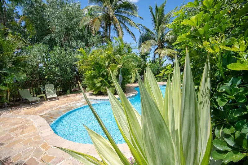 Une piscine turquoise bordée d'une terrasse en pierre et de végétation luxuriante.