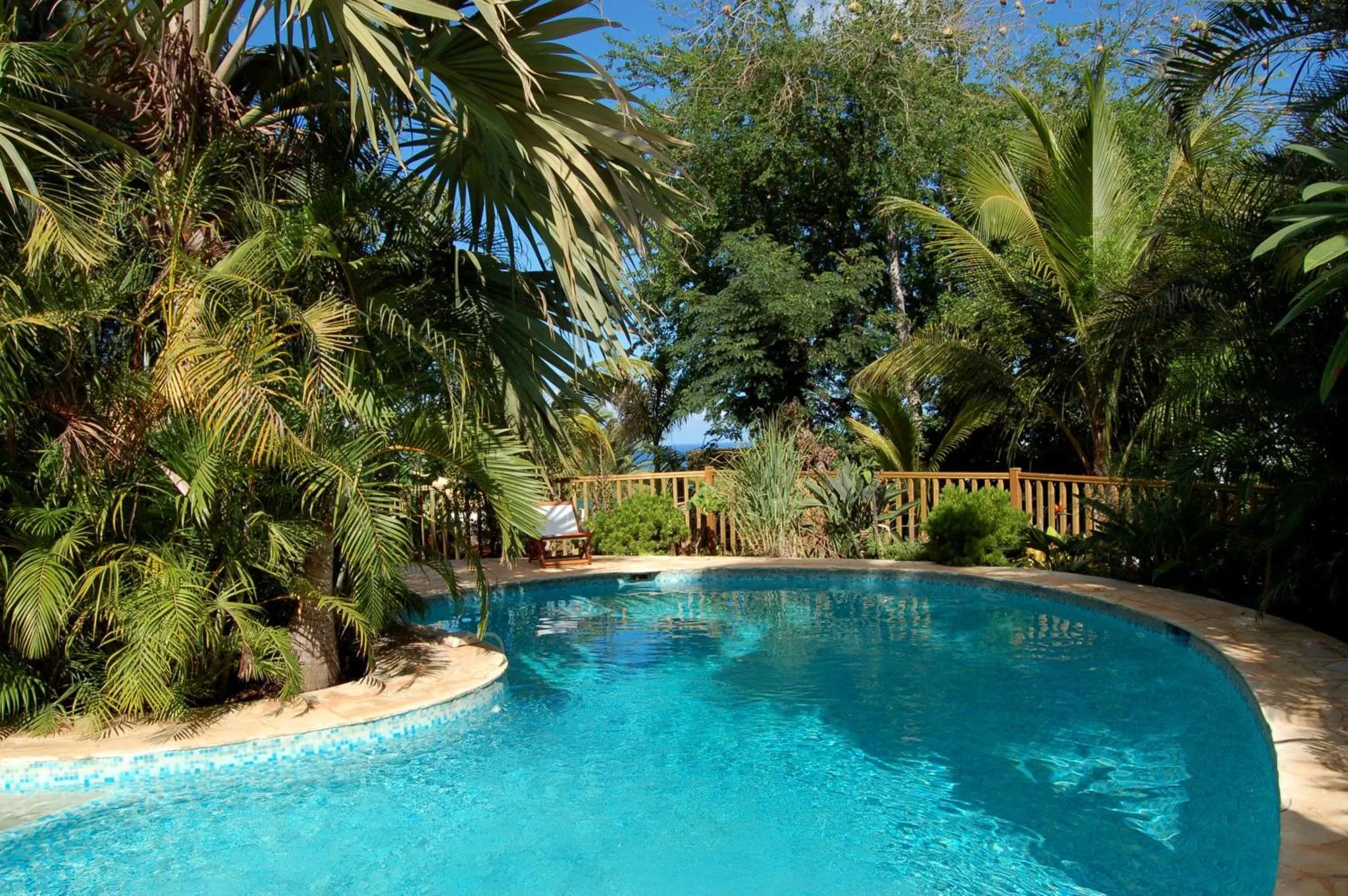 Une piscine turquoise bordée de végétation luxuriante invite à la détente.