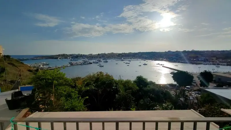 Vue panoramique sur un port de plaisance ensoleillé et une côte rocheuse.