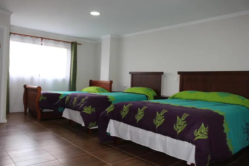 Deux lits simples avec une couette colorée dans une chambre lumineuse.