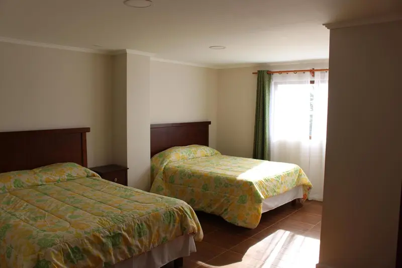 Une chambre lumineuse avec deux lits simples recouverts d'une courtepointe à motifs.