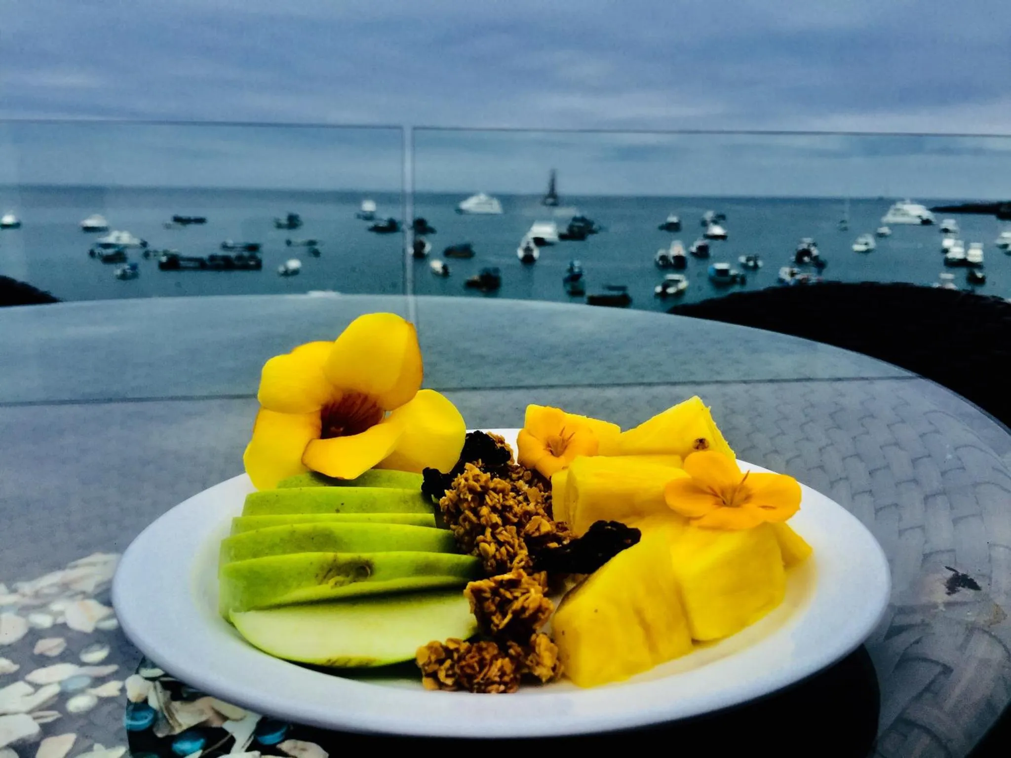 Assiette de fruits frais présentée sur une table extérieure avec vue sur la mer.