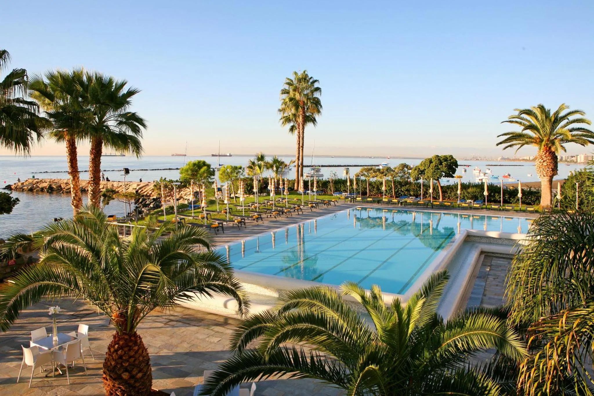 Une piscine rectangulaire bordée de palmiers et de chaises longues, avec une vue sur la mer.