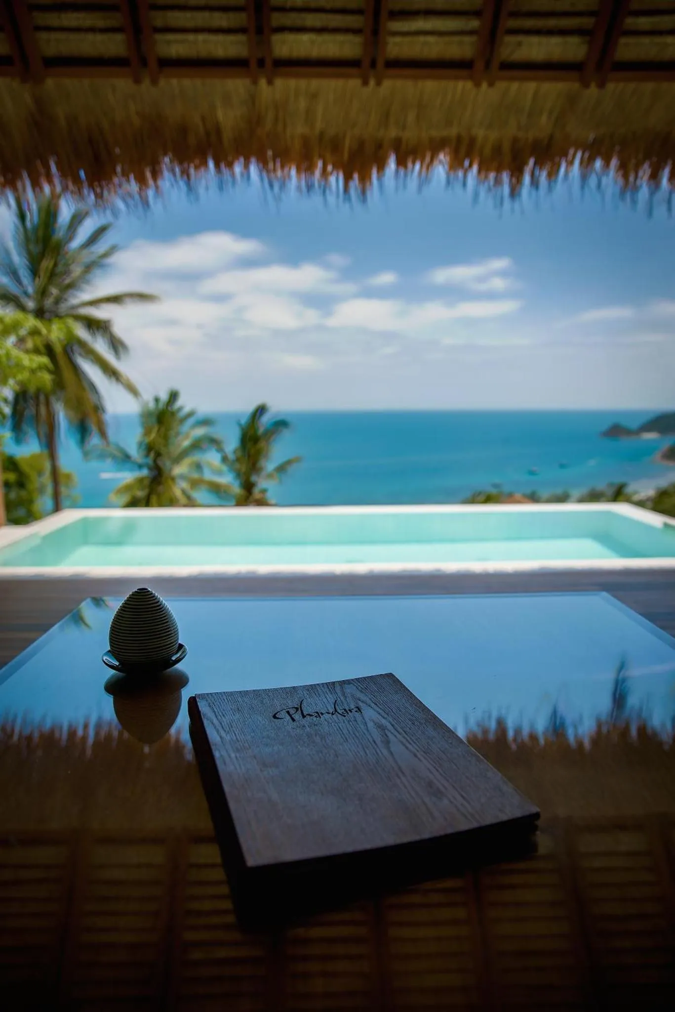 Une piscine à débordement offre une vue sur la mer et la végétation tropicale.