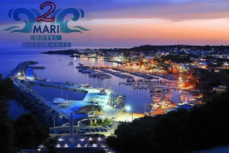 Vue panoramique sur un port de plaisance illuminé au coucher du soleil.