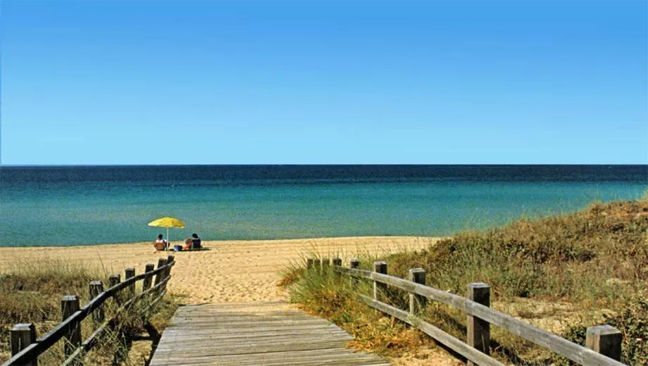 Une plage de sable fin avec des parasols et une vue sur la mer.