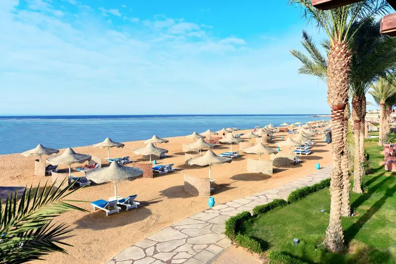 Plage de sable fin avec transats et parasols sous le soleil.