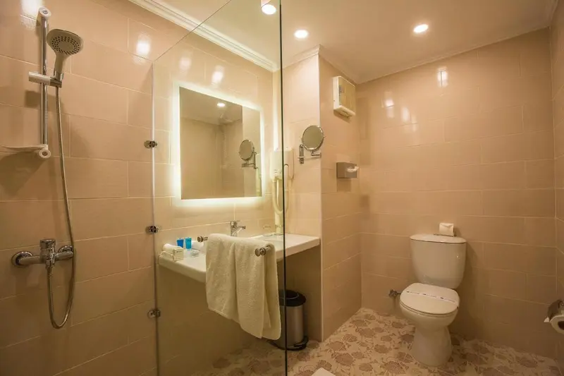 Une salle de bain claire avec douche à l'italienne et toilettes.