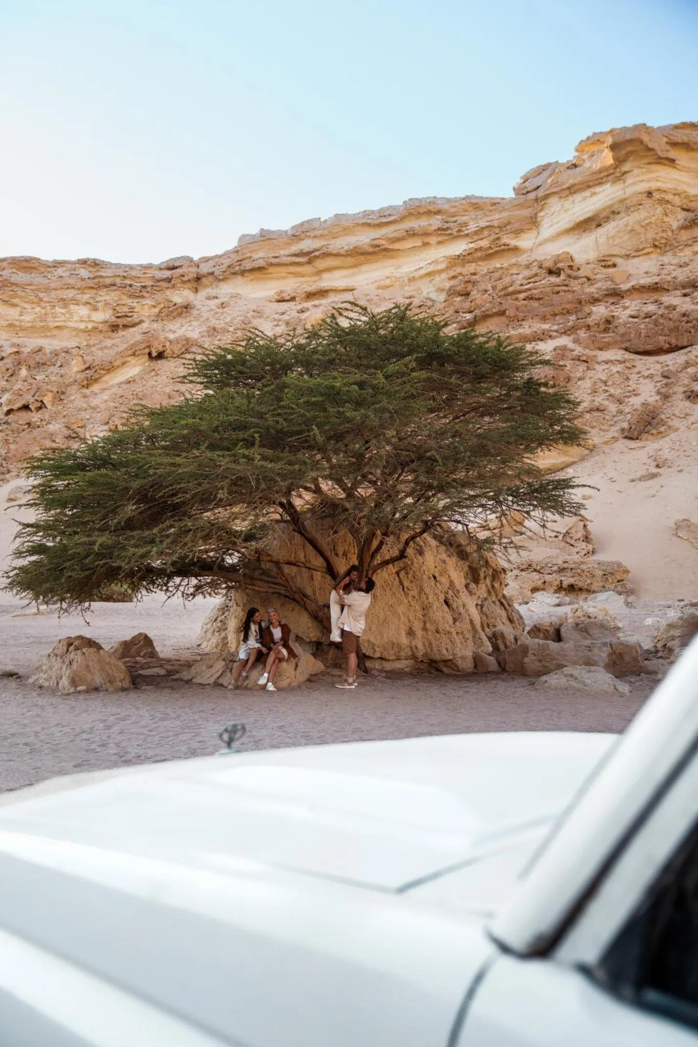 Des personnes se reposent à l'ombre d'un arbre sur un terrain rocailleux.