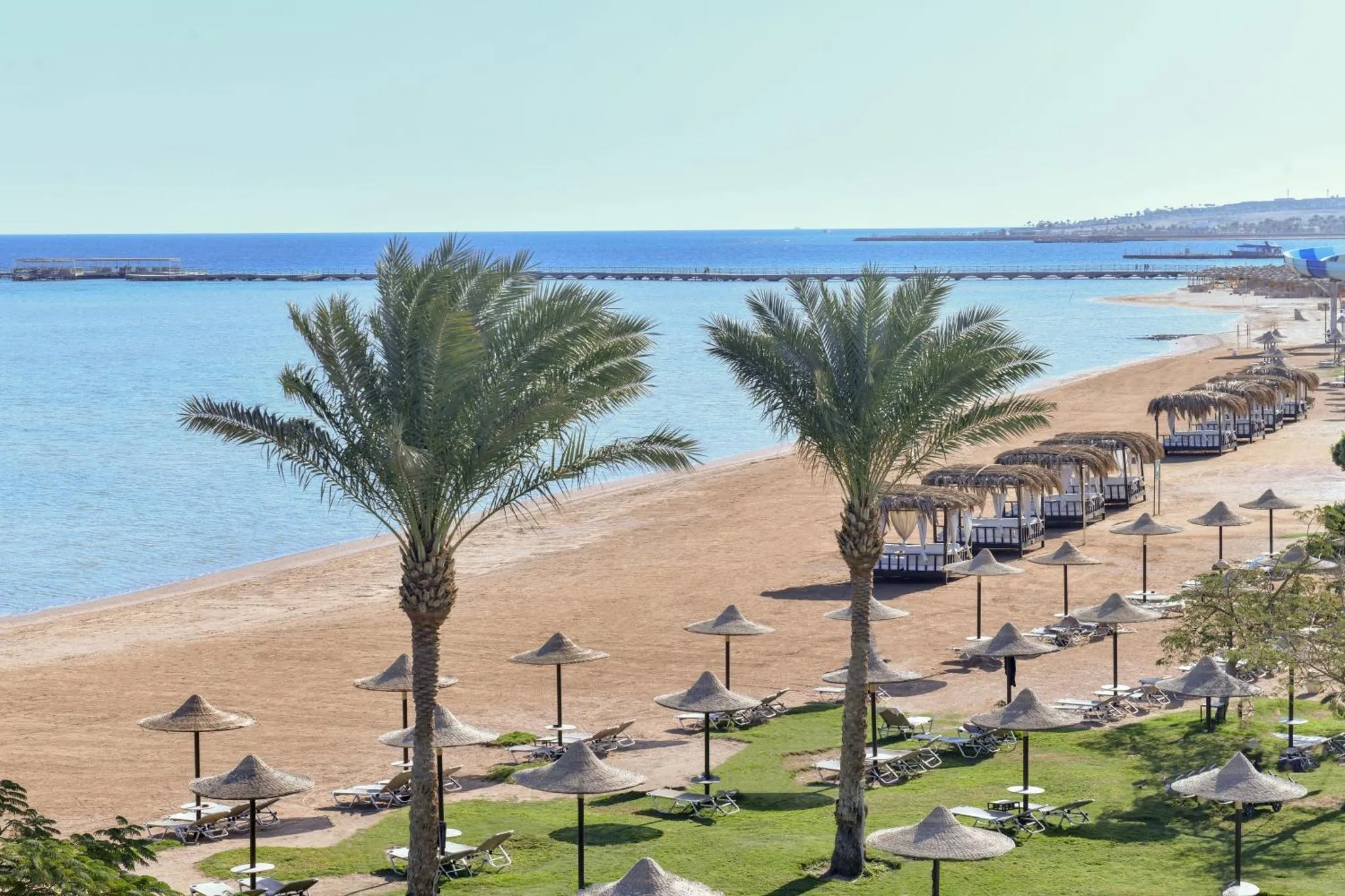 Plage de sable avec parasols et palmiers, vue sur la mer.