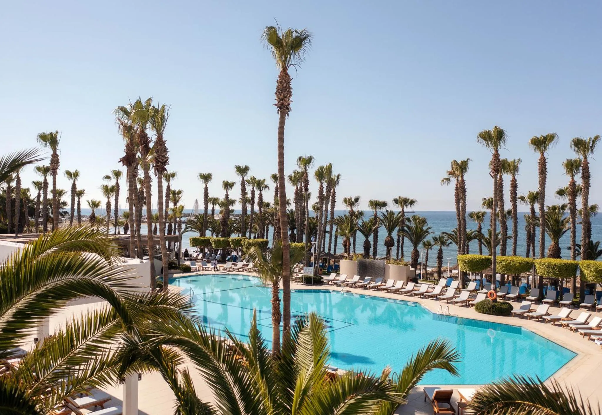 Une piscine turquoise bordée de transats, entourée de palmiers et avec vue sur la mer.