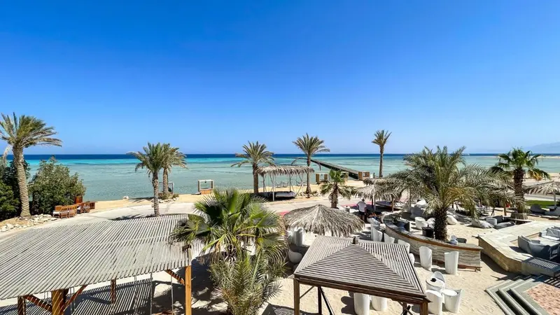 Vue d'une plage ensoleillée avec des palmiers et des parasols.