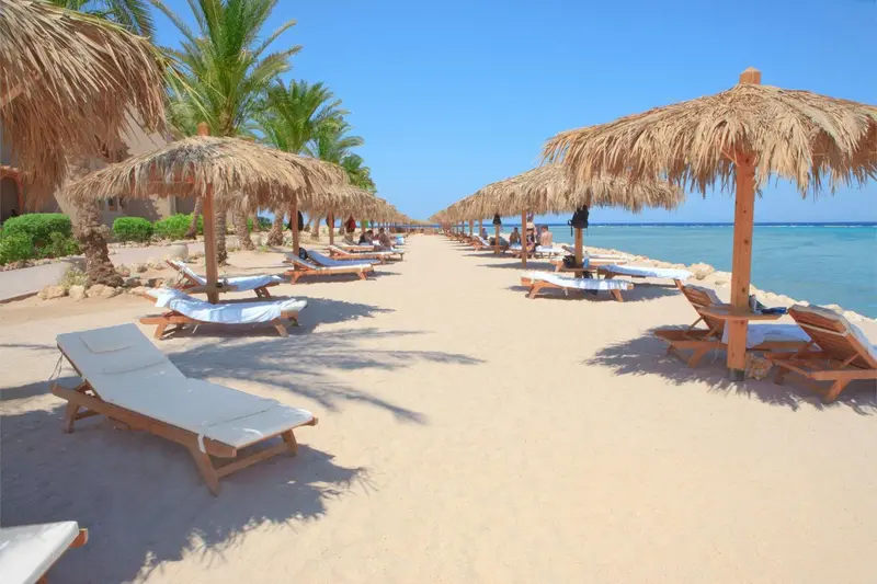 Transats alignés sous des parasols de chaume sur une plage de sable fin.