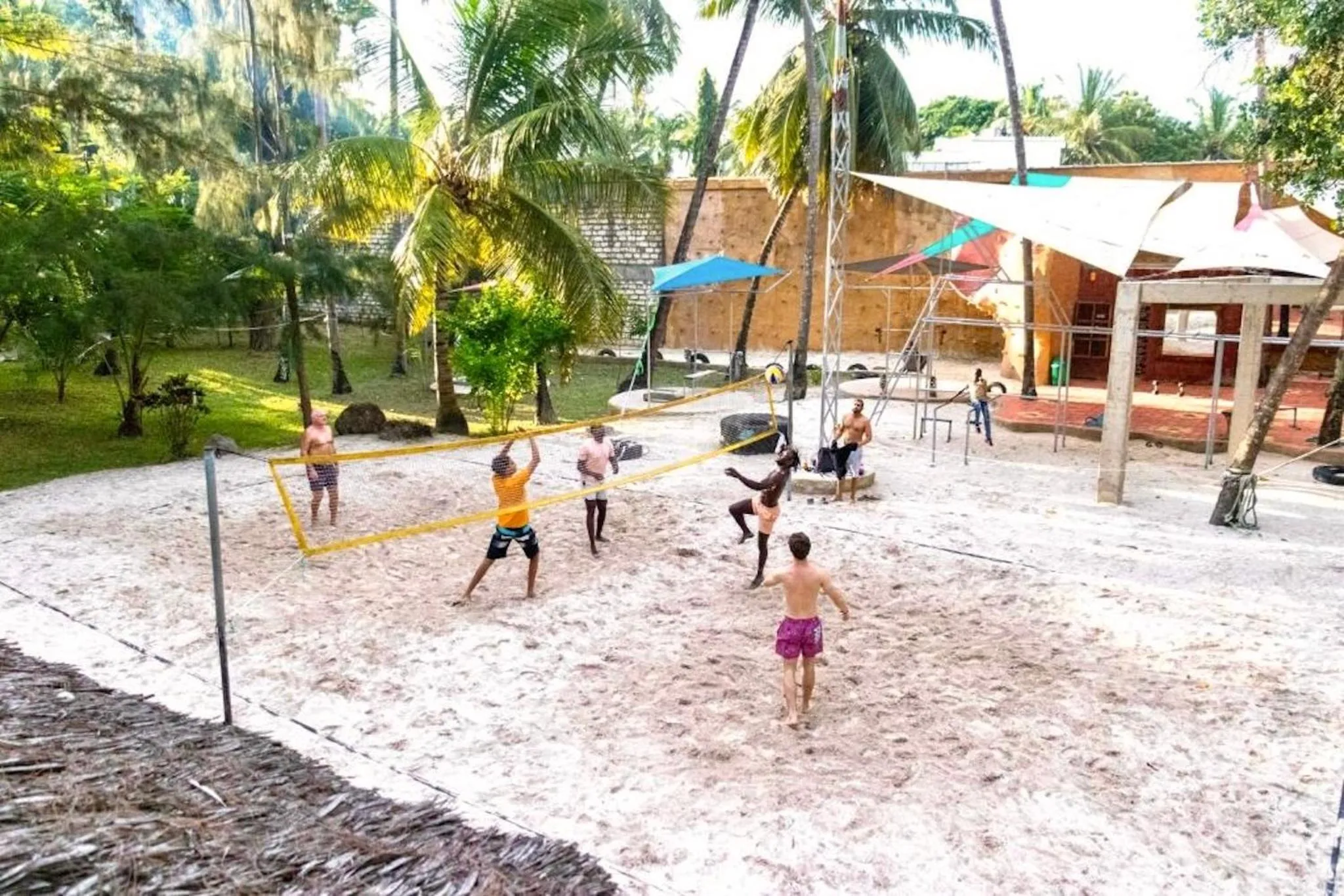 Des personnes jouent au volley-ball sur une plage de sable blanc bordée de palmiers.