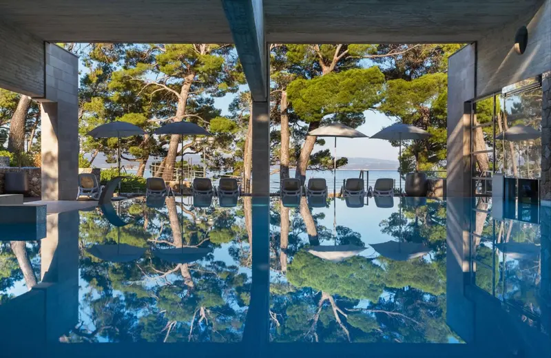 Vue sur une piscine et des transats sous des parasols, avec une végétation luxuriante en arrière-plan.
