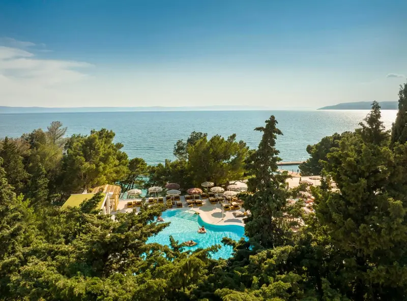 Vue aérienne d'une piscine entourée de transats et de végétation luxuriante, avec la mer en arrière-plan.