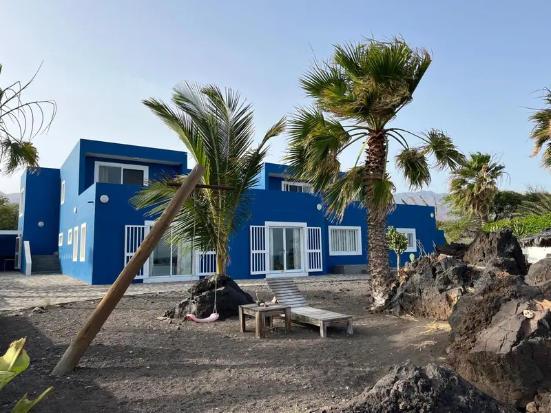 Bâtiment bleu moderne avec des palmiers et un sol rocheux.