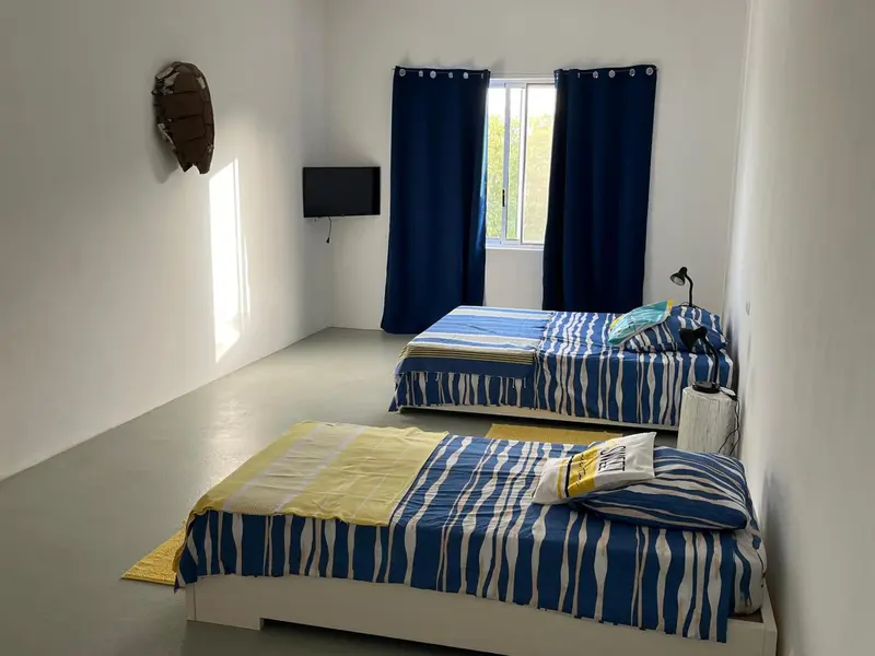 Une chambre lumineuse avec deux lits simples et un téléviseur mural.