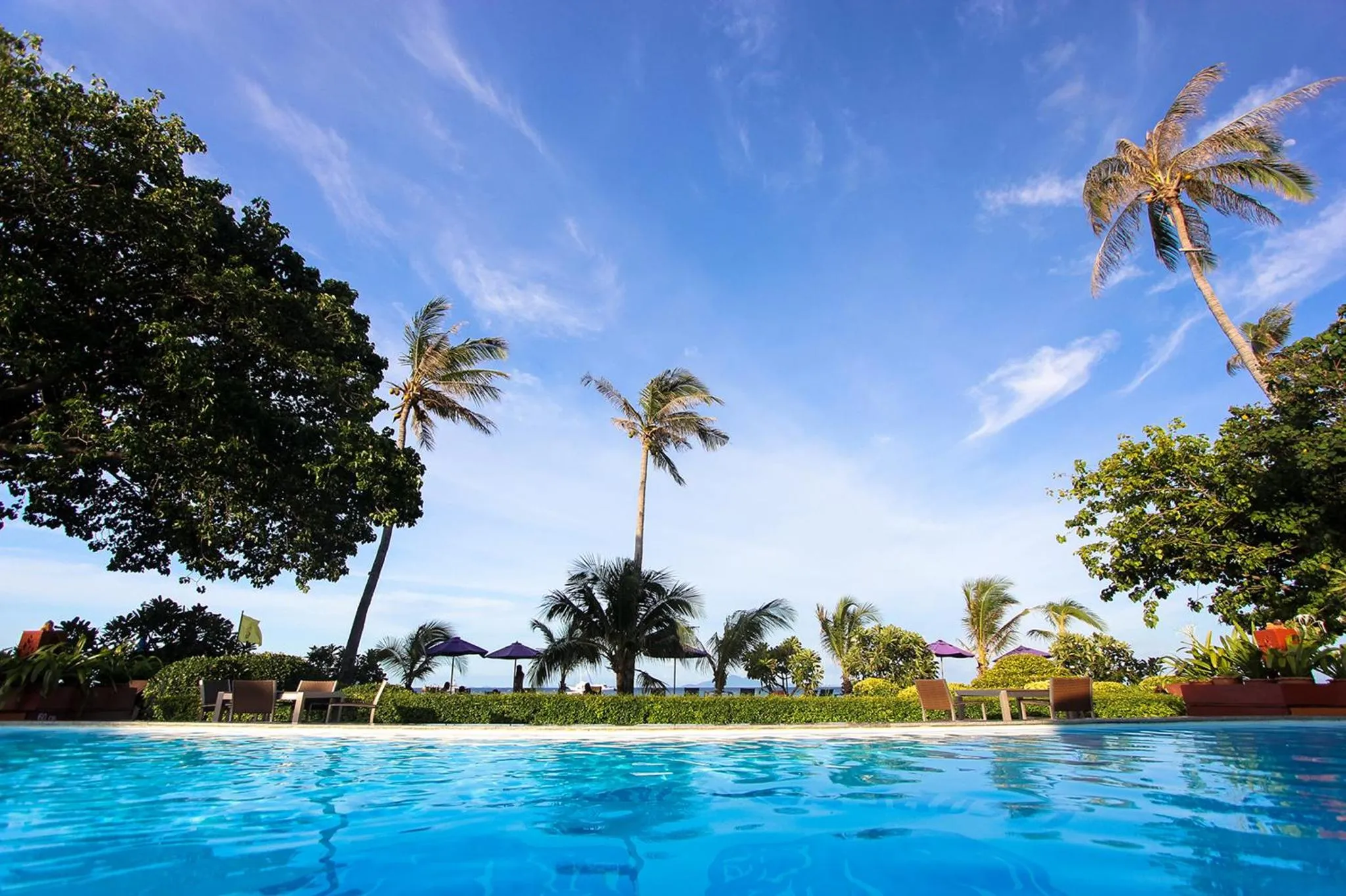 Une piscine turquoise bordée de transats sous des palmiers au ciel bleu.