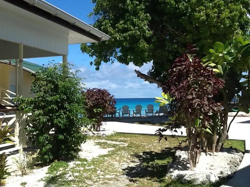 Vue sur la mer depuis un jardin tropical avec des chaises longues.