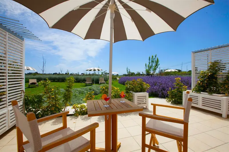 Une table et des chaises en bois invitent à la détente sur une terrasse ensoleillée.