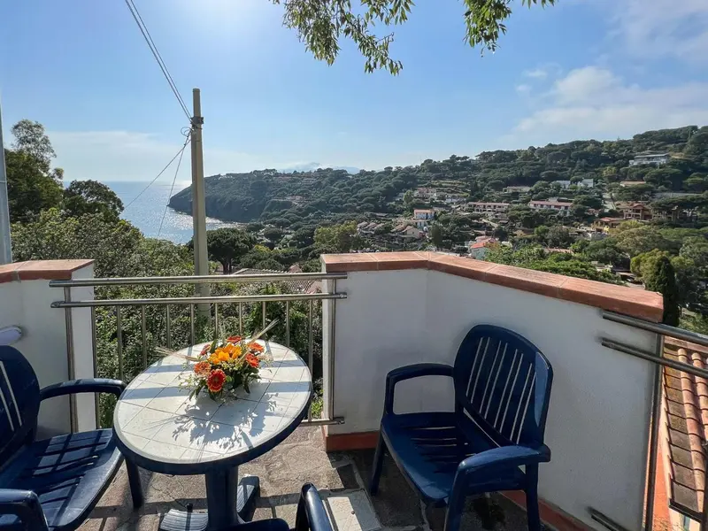 Une terrasse avec une table fleurie offre une vue sur la côte et les collines environnantes.
