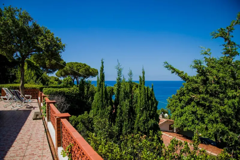 Terrasse ensoleillée avec vue sur la mer et la végétation luxuriante.