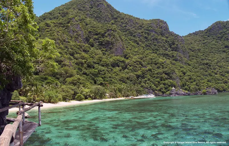 Une plage de sable fin borde une eau turquoise au pied de collines verdoyantes.