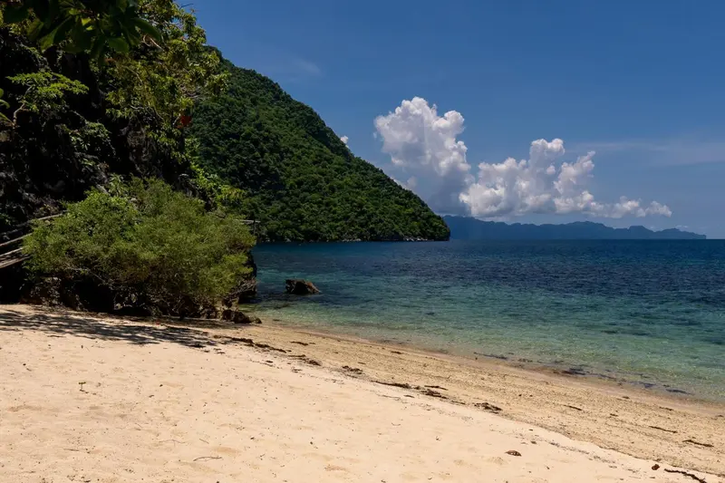 Une plage de sable fin bordée d'une eau turquoise et d'une végétation luxuriante.