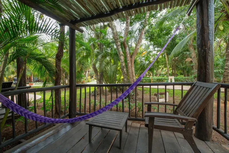 Un hamac violet est suspendu sur une terrasse en bois ombragée par la végétation.