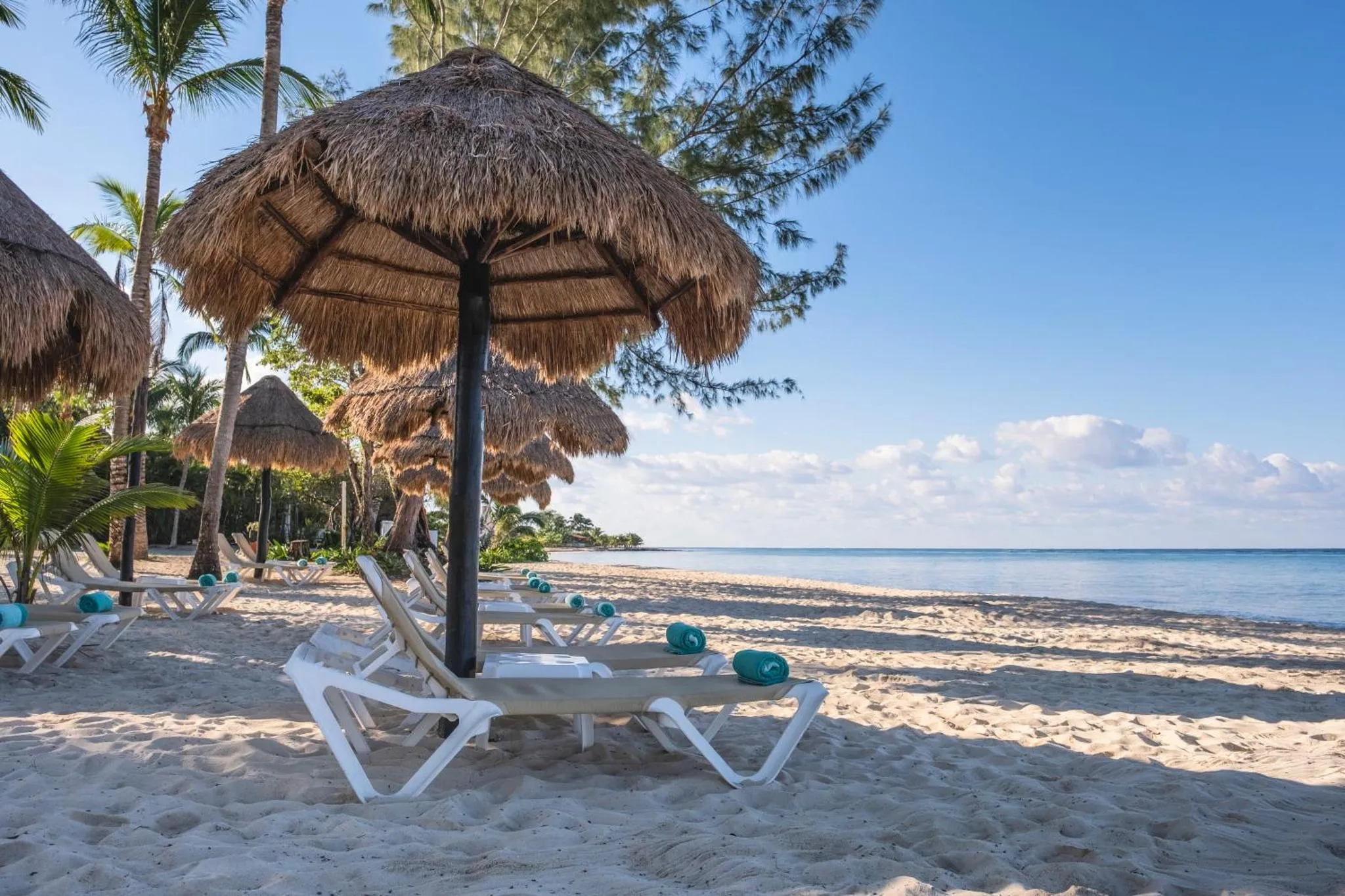 Transats et parasols de plage sous les palmiers, vue sur la mer.