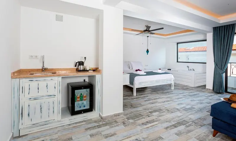 Espace de vie lumineux avec kitchenette et lit double.