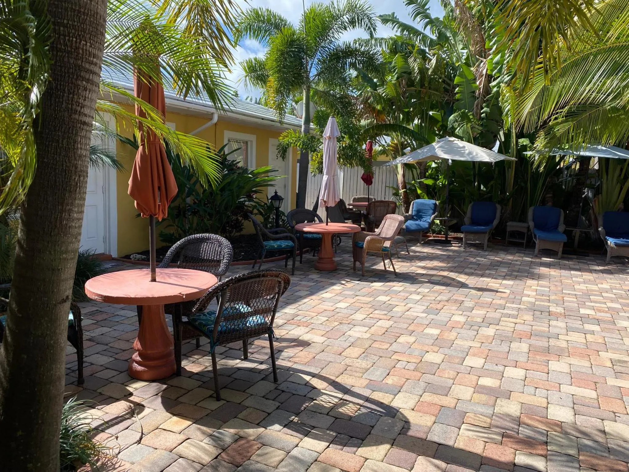 Tables et chaises disposées sur une terrasse pavée ombragée par des parasols et des palmiers.