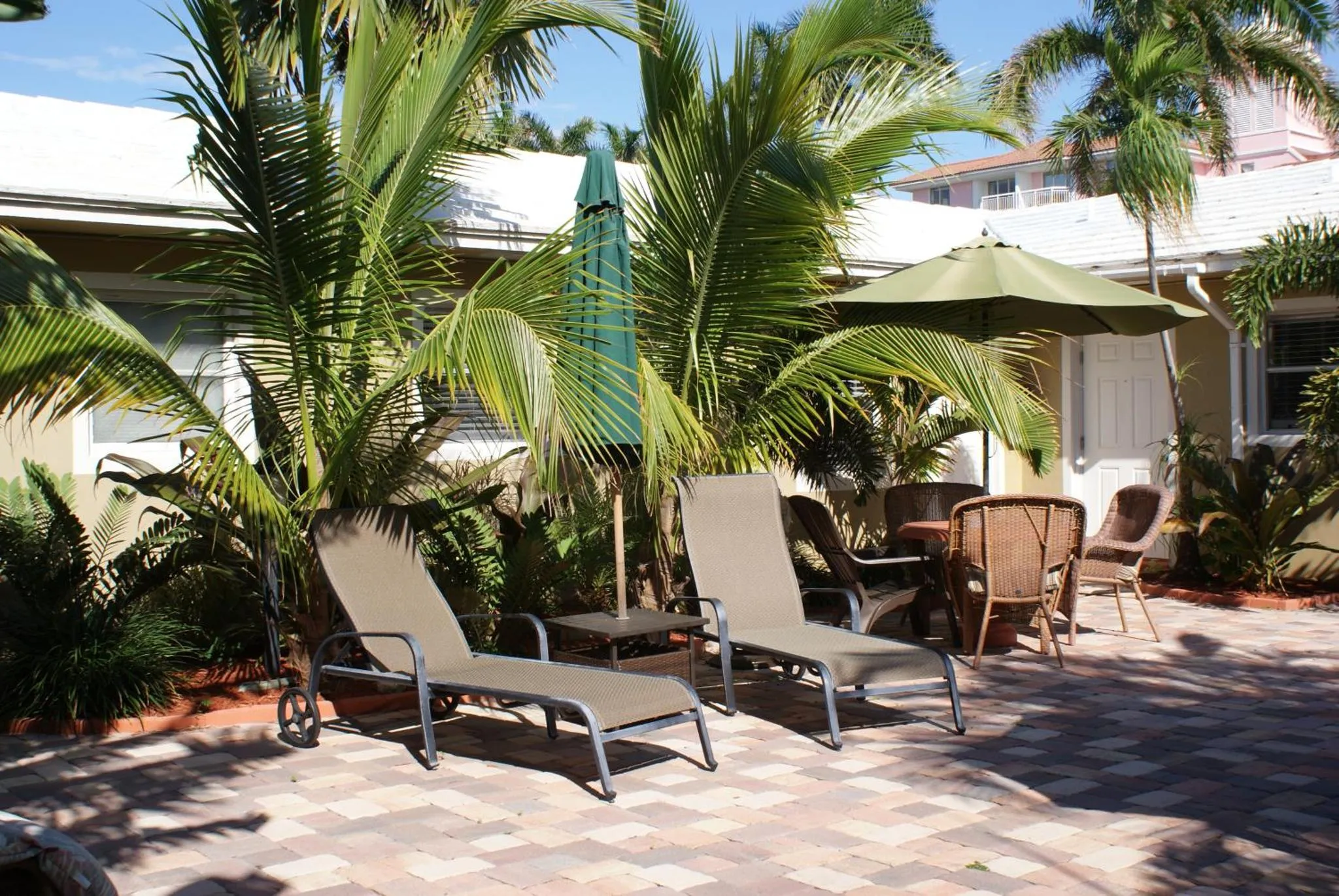 Transats et parasols dans un jardin tropical ensoleillé.