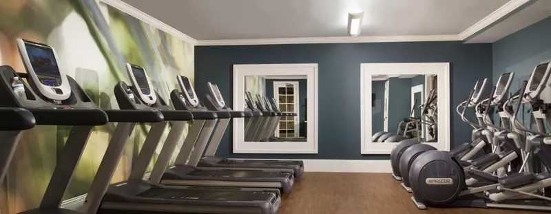 Une salle de sport lumineuse avec plusieurs appareils de cardio.