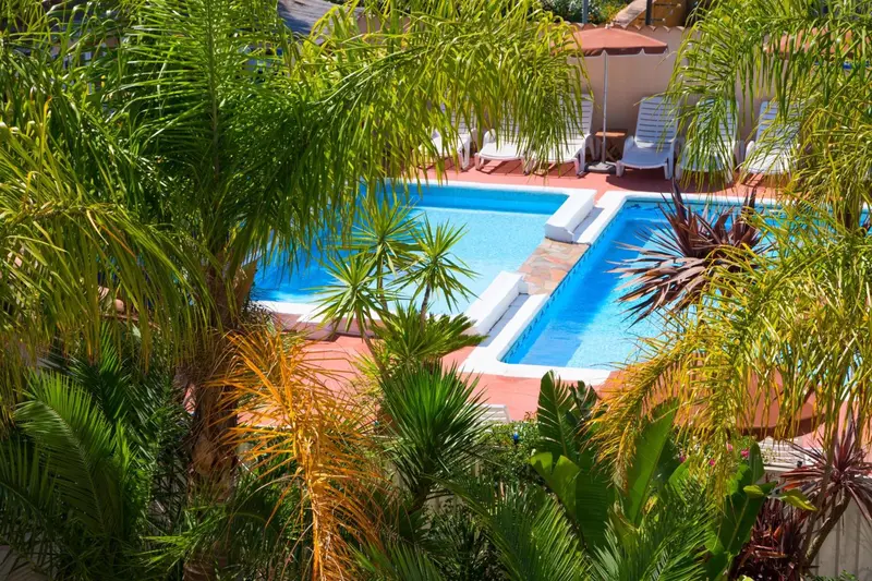 Une piscine rectangulaire entourée de végétation luxuriante et de chaises longues.