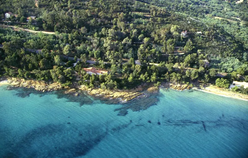 Vue aérienne d'une plage bordée de végétation et de bâtiments.