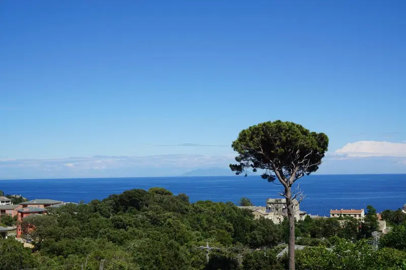Vue d'ensemble sur la mer et la végétation côtière sous un ciel bleu.