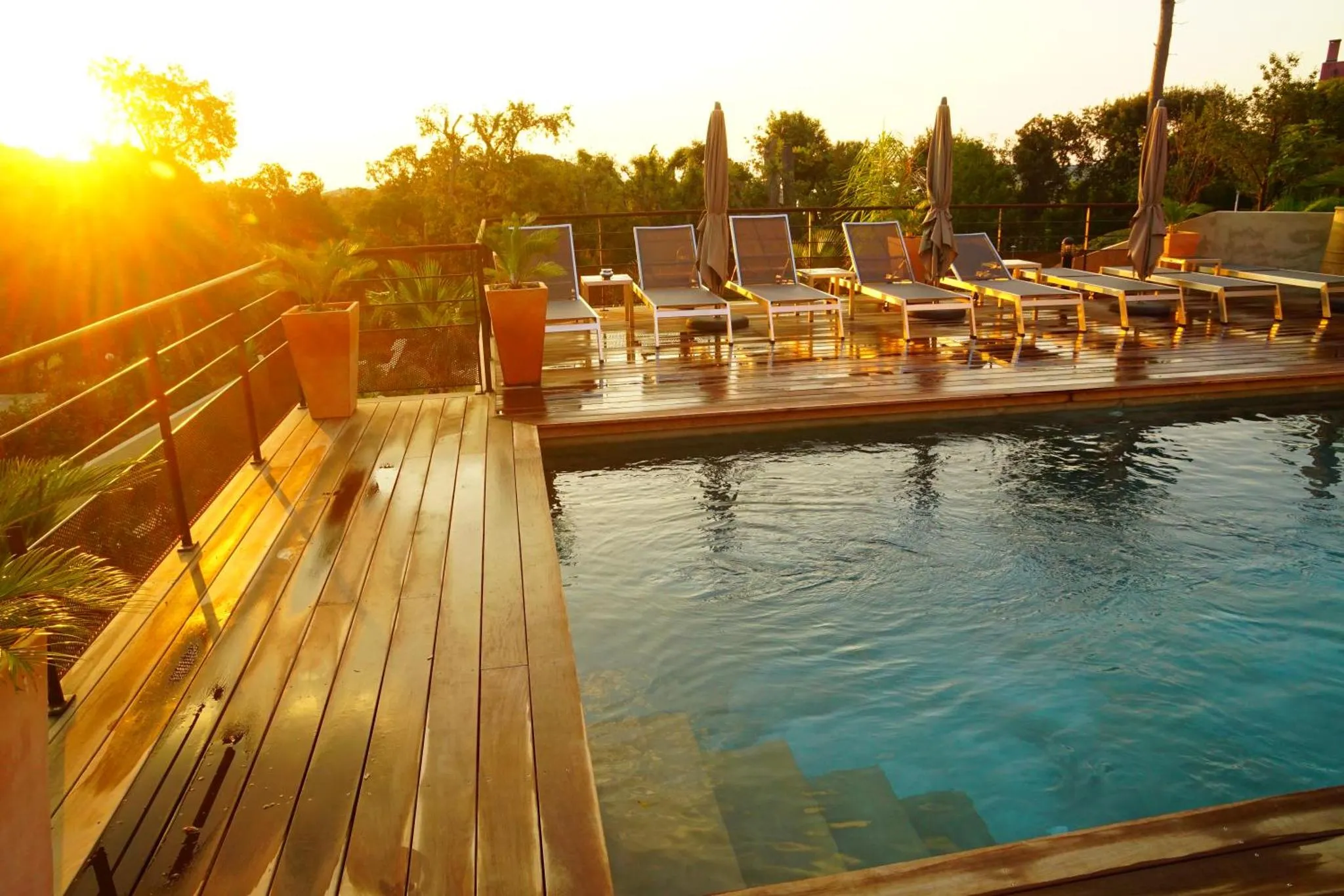 Terrasse en bois avec transats et piscine au bord d'une végétation luxuriante.
