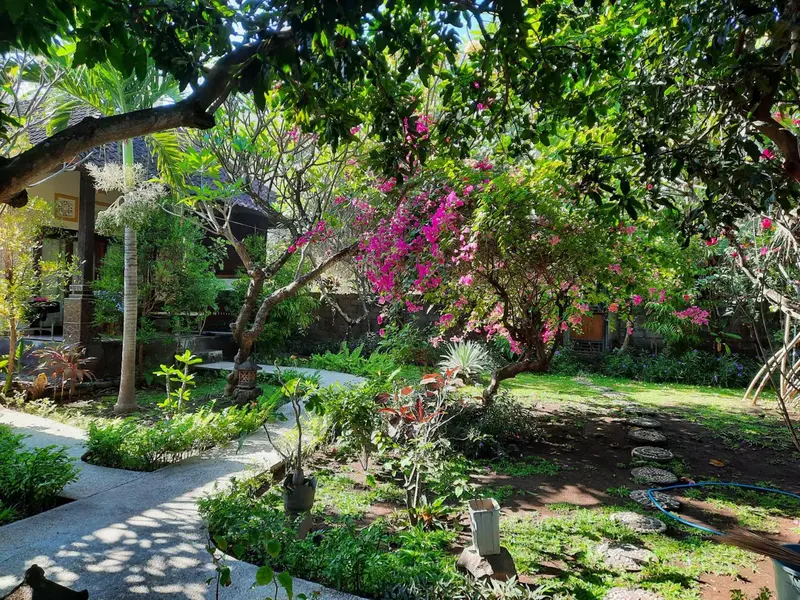 Jardin luxuriant avec allée pavée et végétation tropicale.