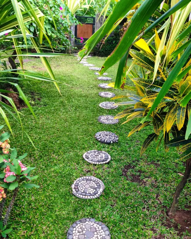 Allée de pas japonais en pierre au milieu d'une pelouse verdoyante et de plantes tropicales.