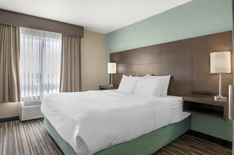 Une chambre lumineuse avec un grand lit recouvert d'une courtepointe blanche.