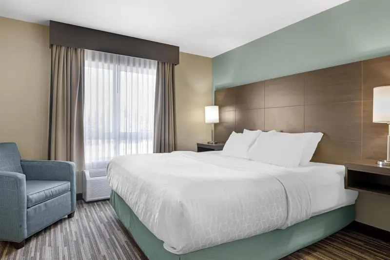 Une chambre d'hôtel lumineuse avec un grand lit recouvert d'une courtepointe blanche.