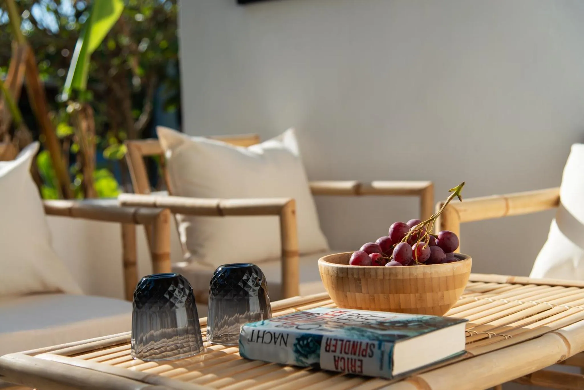 Une table basse en bois avec des verres, un bol de raisins et un livre est mise en scène sur une terrasse.