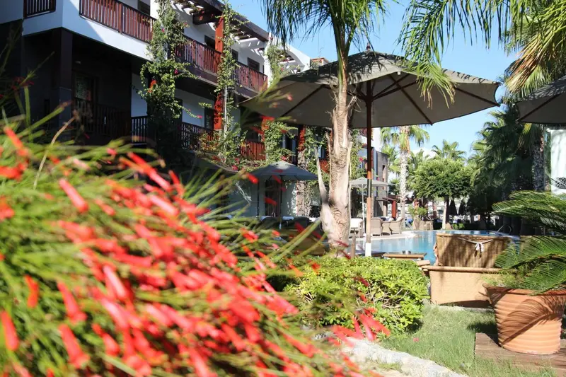 Terrasse fleurie donnant sur une piscine et des bâtiments.