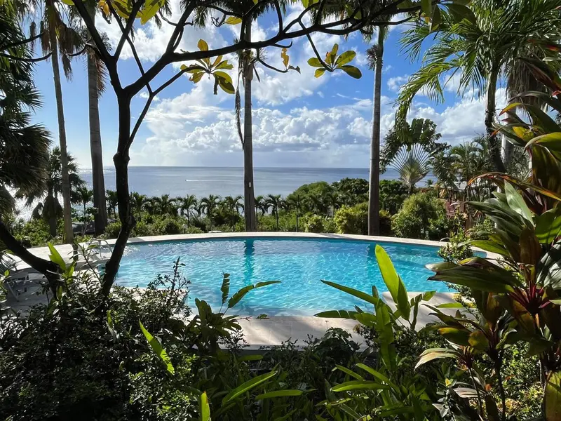 Une piscine bordée de végétation luxuriante offre une vue sur la mer.